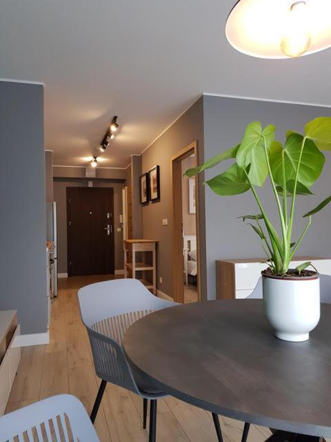 Apartament Triventi 88 Z Widokiem Na Sniezke - 5D Apartamenty كارباش المظهر الخارجي الصورة